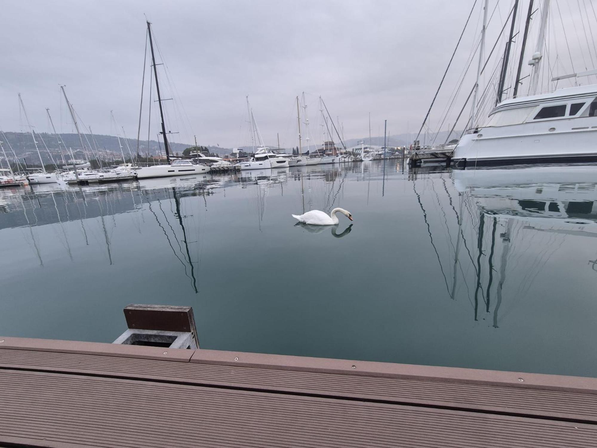 Floating Sea House Aurora Βίλα Πορτορόζ Εξωτερικό φωτογραφία