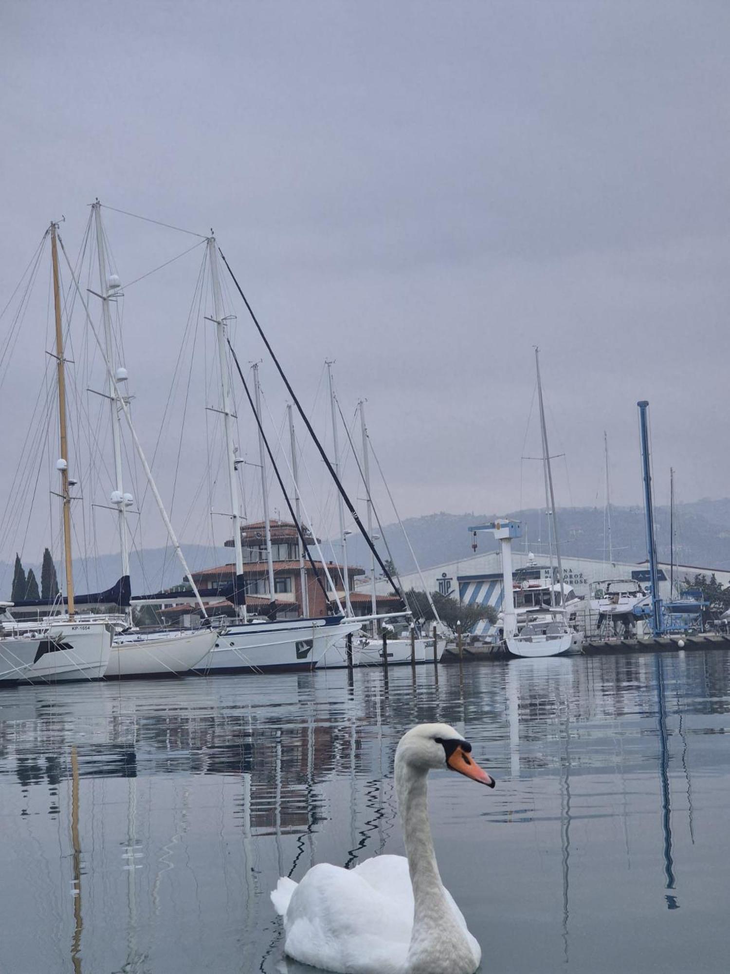 Floating Sea House Aurora Βίλα Πορτορόζ Εξωτερικό φωτογραφία