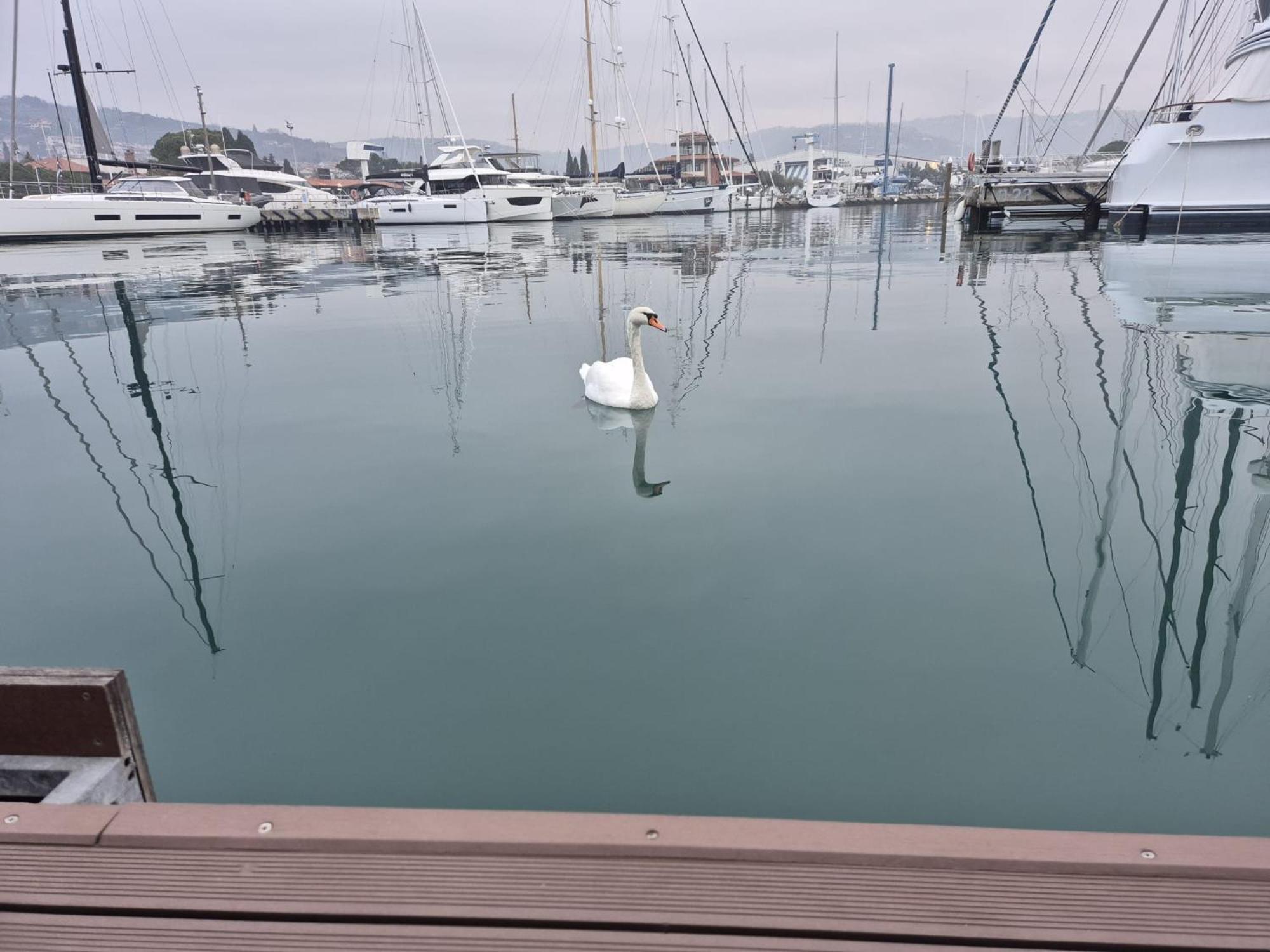 Floating Sea House Aurora Βίλα Πορτορόζ Εξωτερικό φωτογραφία